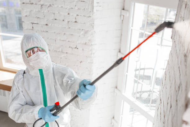 Biohazard Mold Removal in Dalworthington Gardens, TX