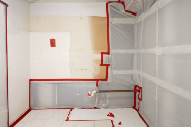 Best HVAC Mold Inspection and Cleaning  in Dalworthington Gardens, TX